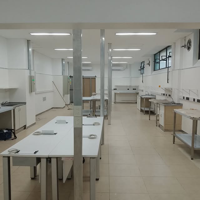 Retiro y reciclaje sustentable de RAEE con certificado OPDS